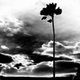 Illustration for article titled 27 Duplicitous Images That Reverse Light and Dark